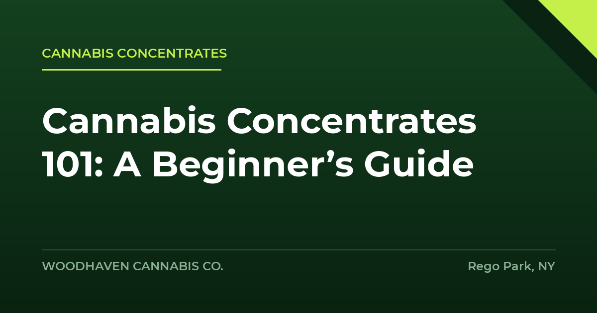cannabis concentrates - Cannabis Concentrates 101: A Beginner’s Guide