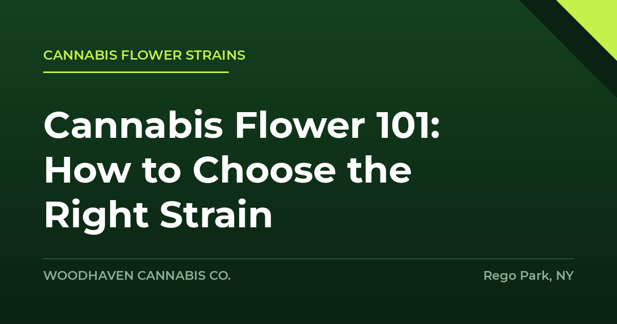 cannabis flower strains - Cannabis Flower 101: How to Choose the Right Strain