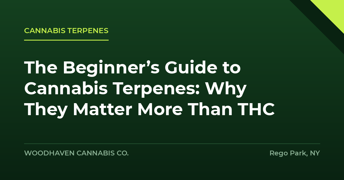 cannabis terpenes - The Beginner’s Guide to Cannabis Terpenes: Why They Matter More Than THC