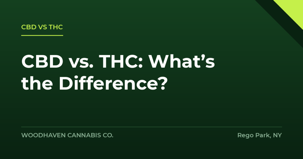 cbd vs thc - CBD vs. THC: What’s the Difference?