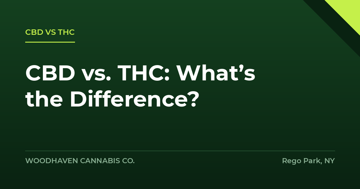 cbd vs thc - CBD vs. THC: What’s the Difference?